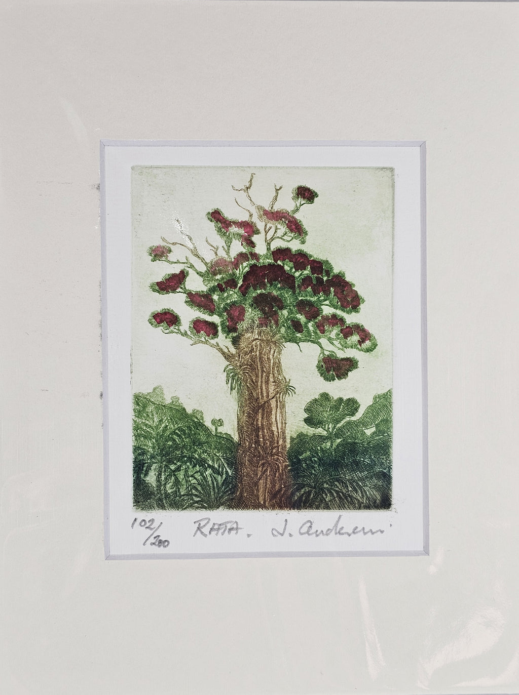 Limited Edition Etching Prints - Flora