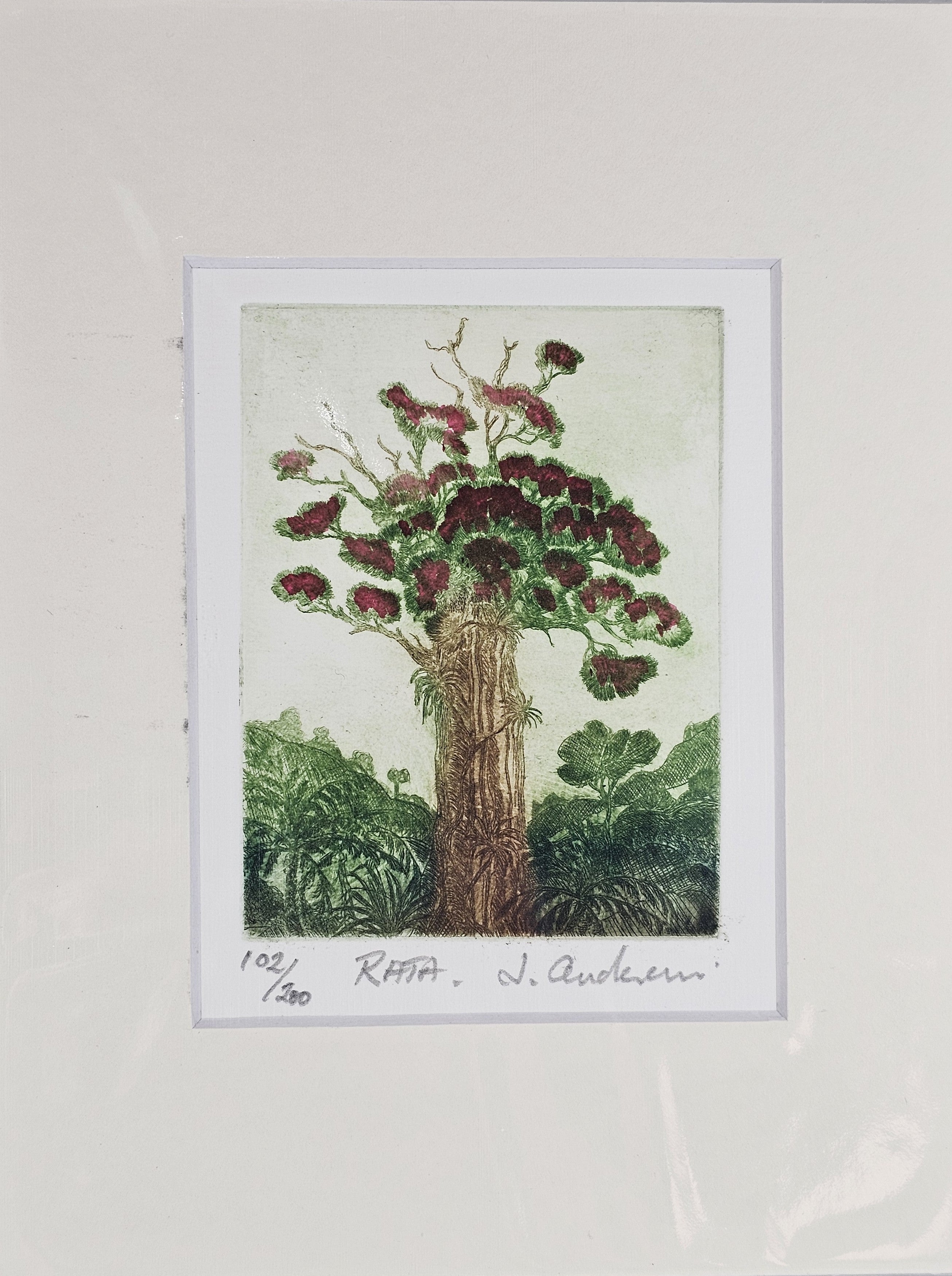 Limited Edition Etching Prints - Flora