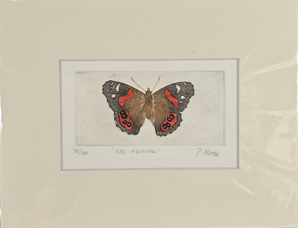 Limited Edition Etching Prints - Bugs and Fish