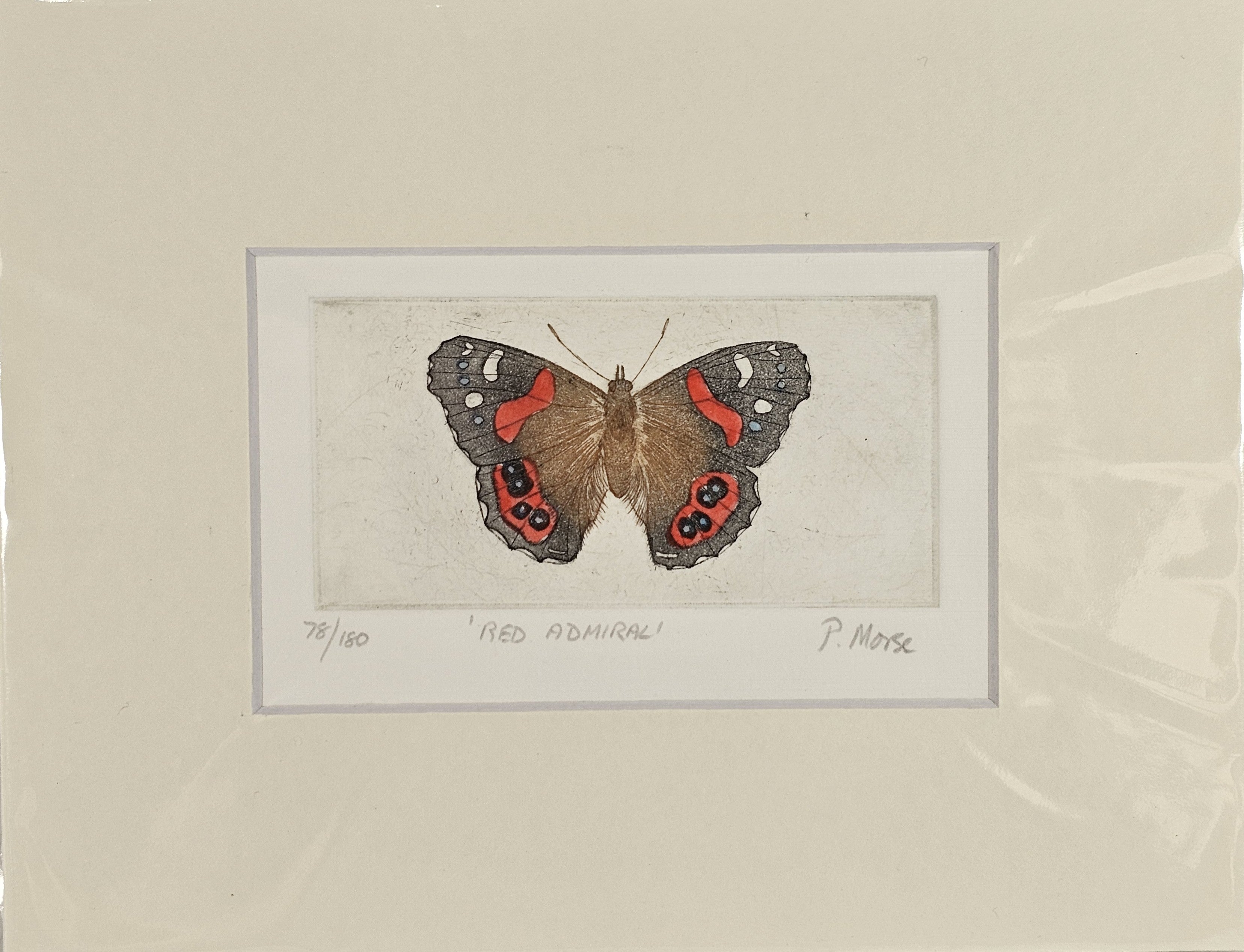 Limited Edition Etching Prints - Bugs and Fish