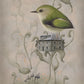 Titipounamu (Rifleman) - Limited Edition Paper Print