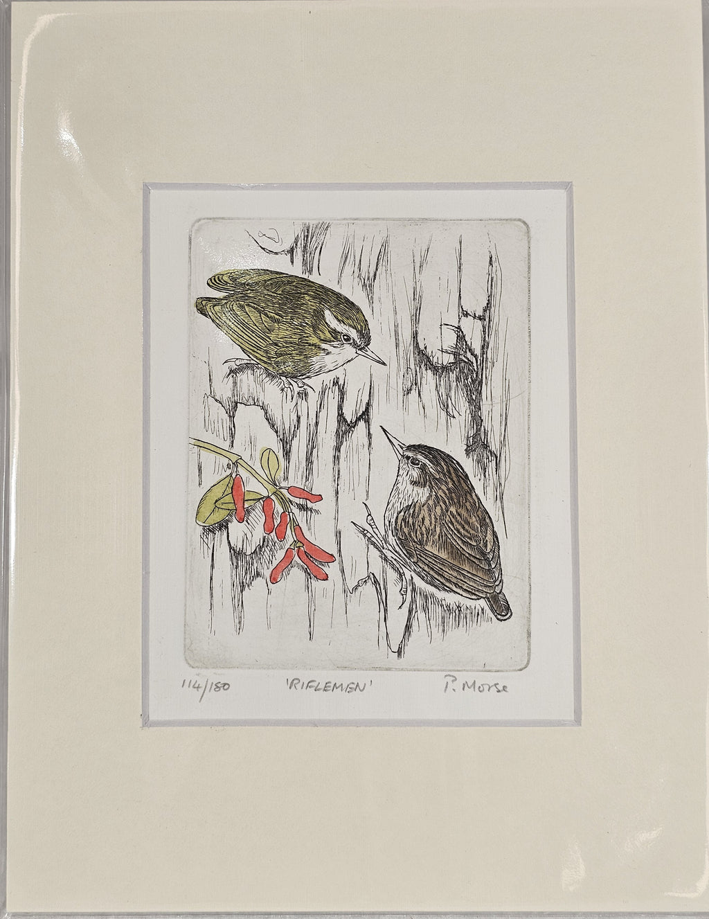 Limited Edition Etching Prints - Birds