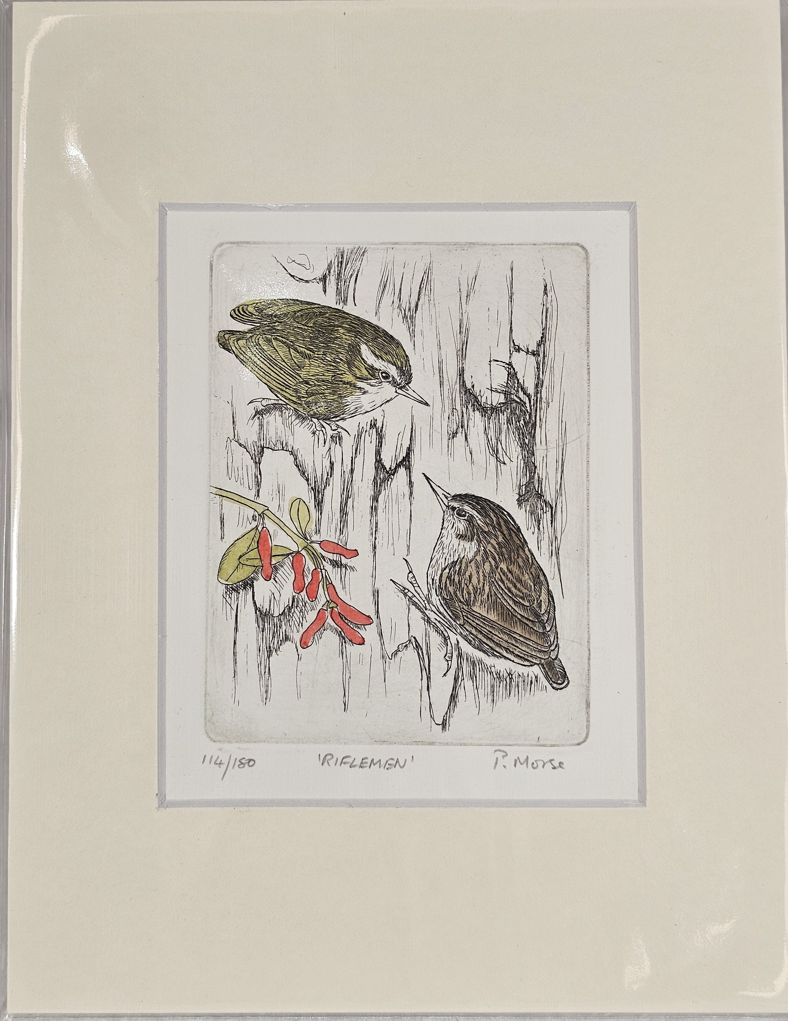 Limited Edition Etching Prints - Birds