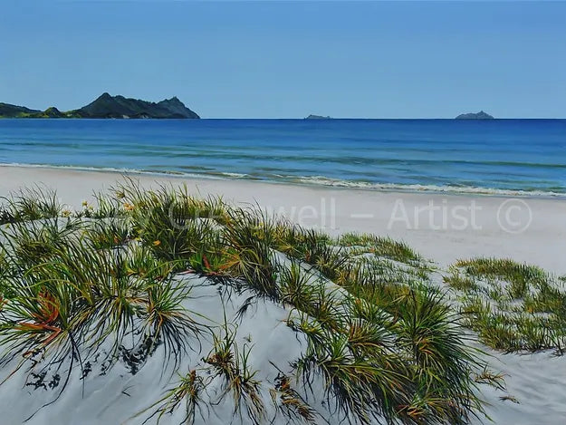 Ruakaka Sands - Paper Print - SOLD