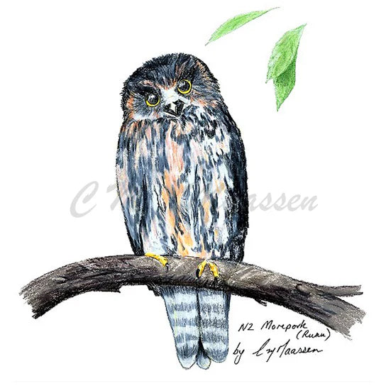 Morepork - Unframed A3 Print