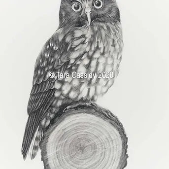 Ruru