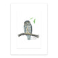 Morepork - Unframed A3 Print