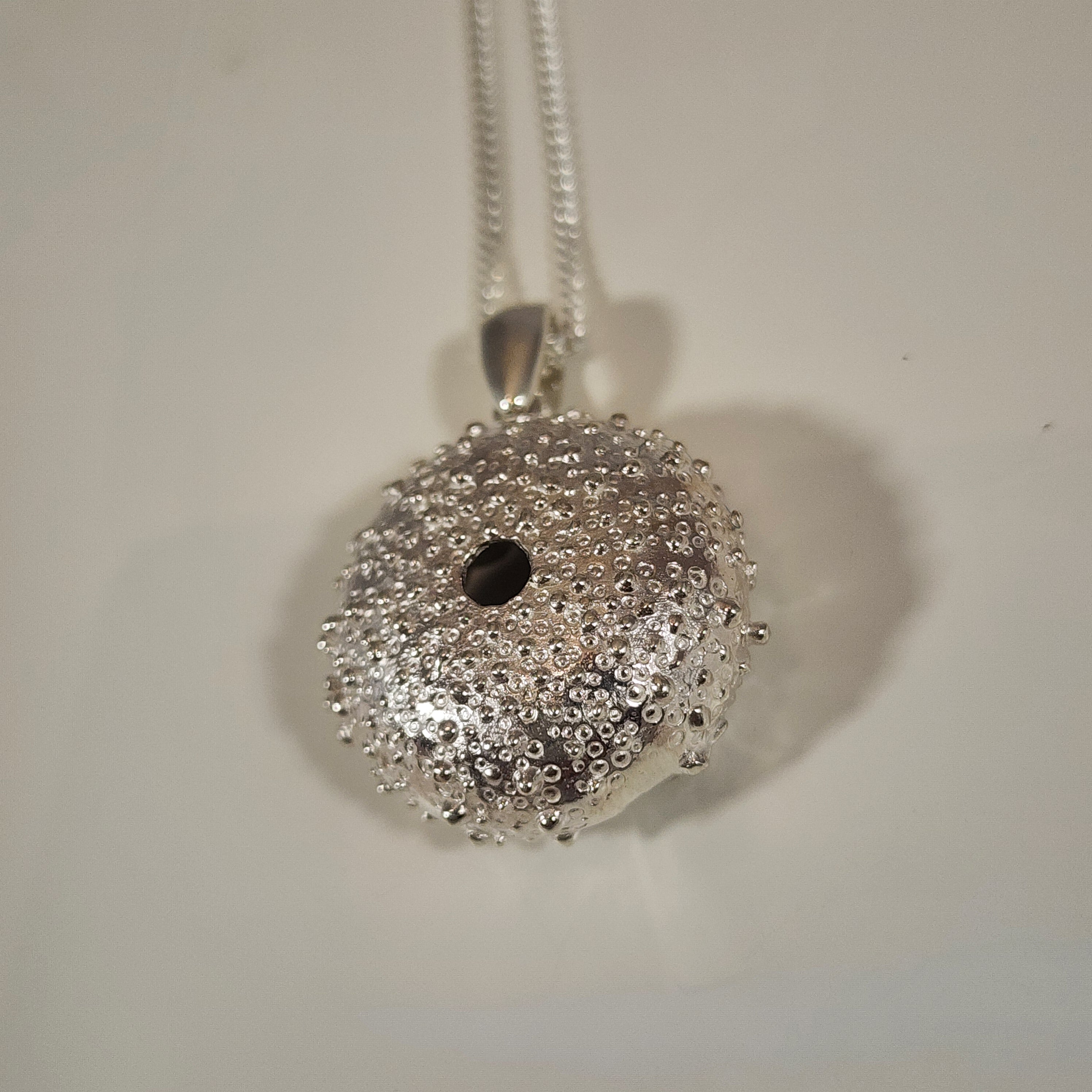 Large Kina Shell - Pendant