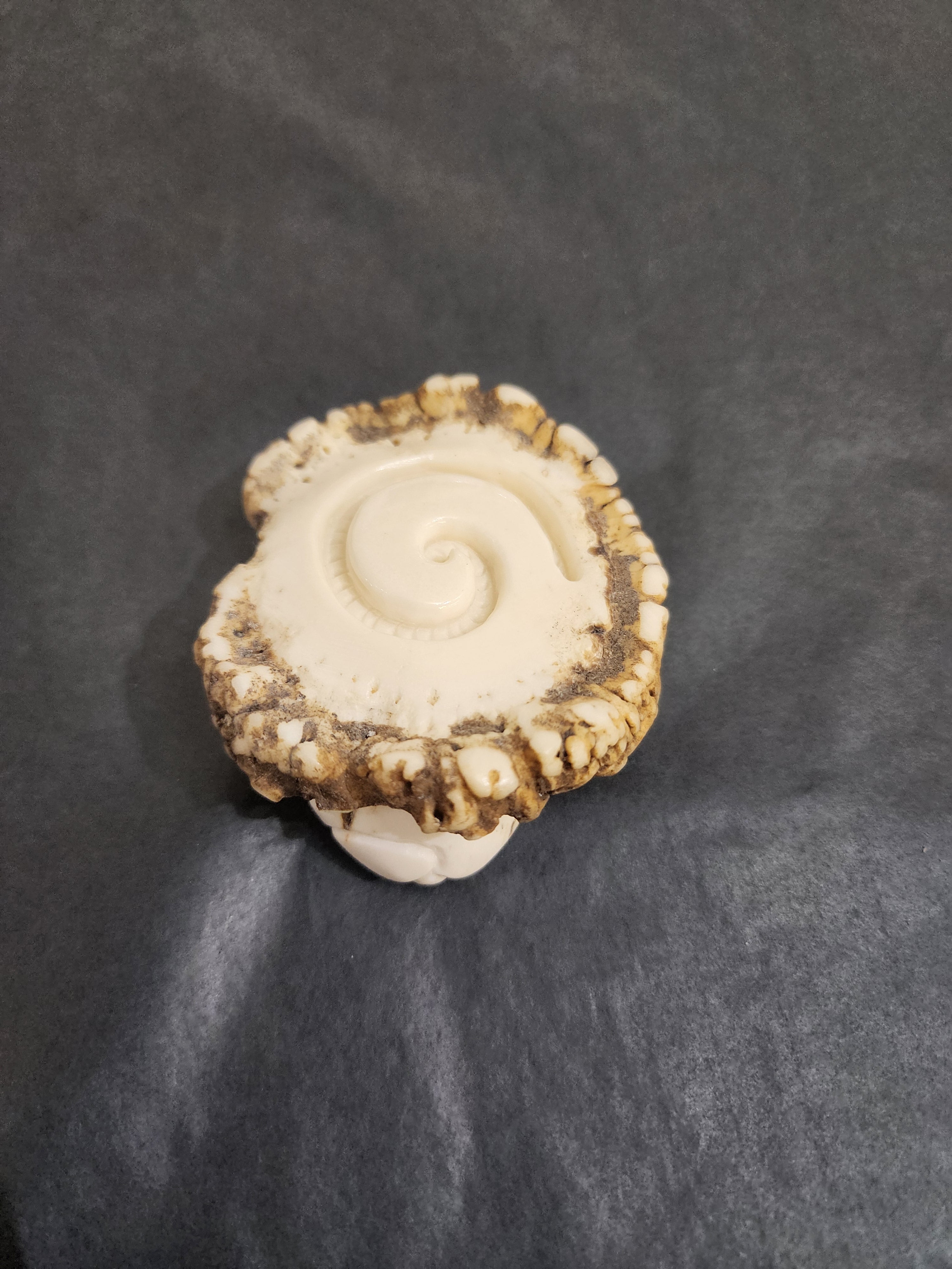 Hook - Deer Antler