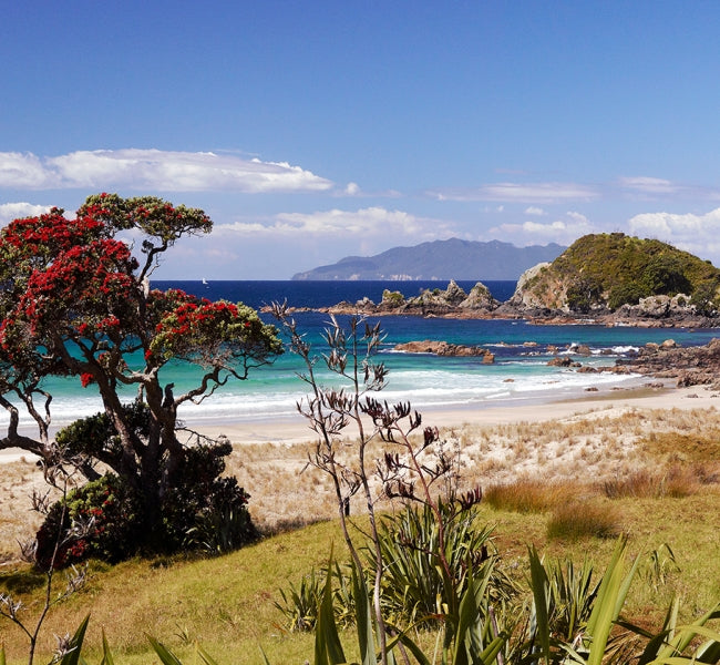Scarlet Shores - Limited Edition Unframed Paper Print