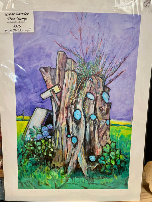 Great Barrier Island Tree Stump