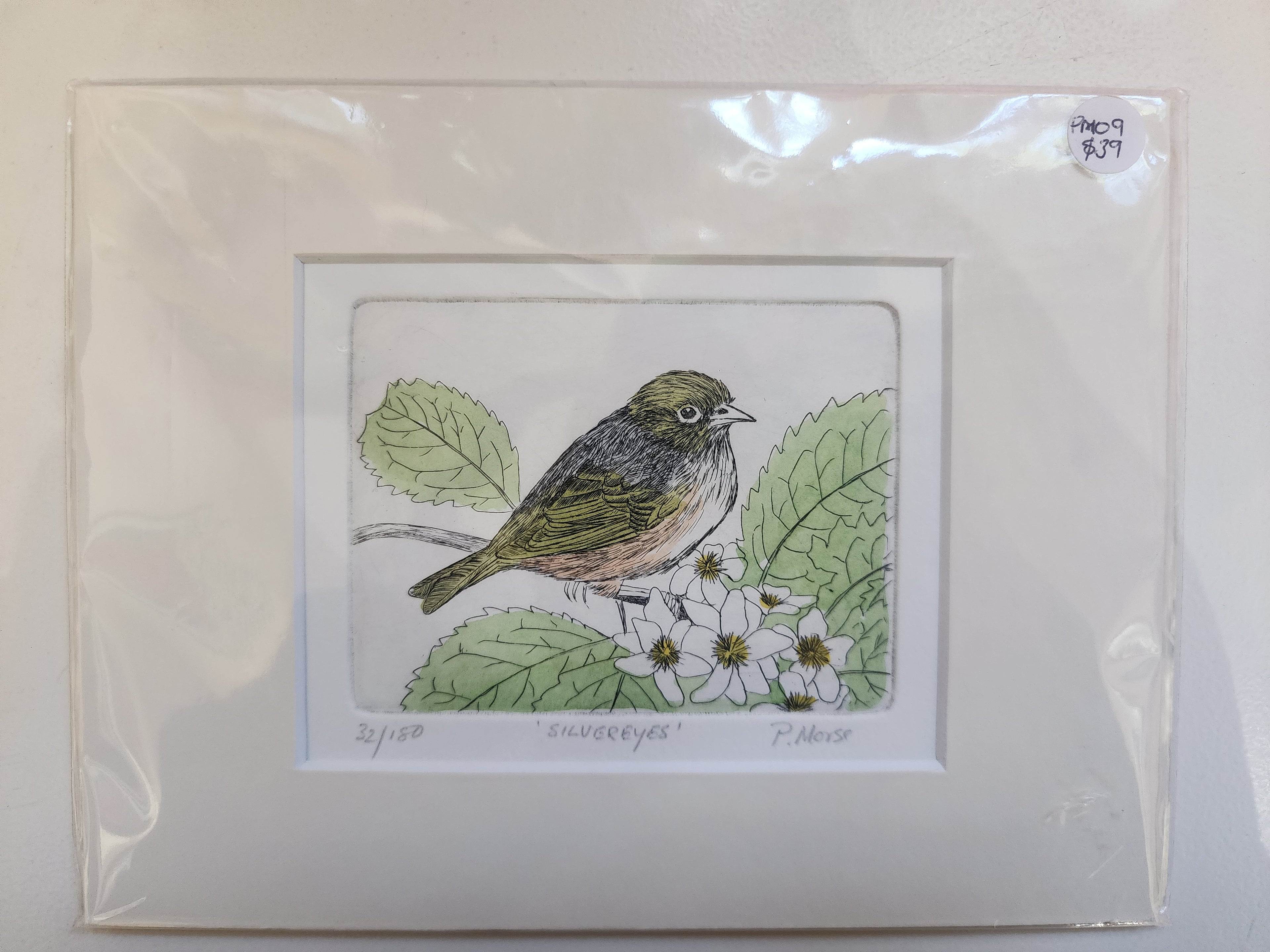 Limited Edition Etching Prints - Birds