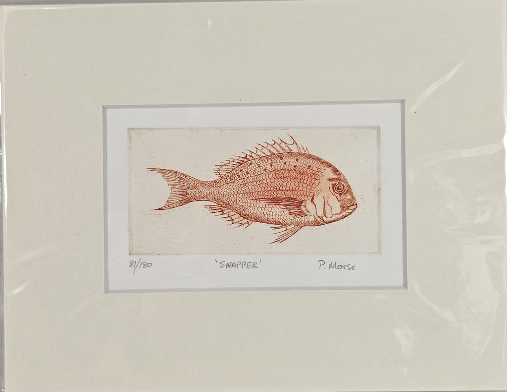 Limited Edition Etching Prints - Bugs and Fish