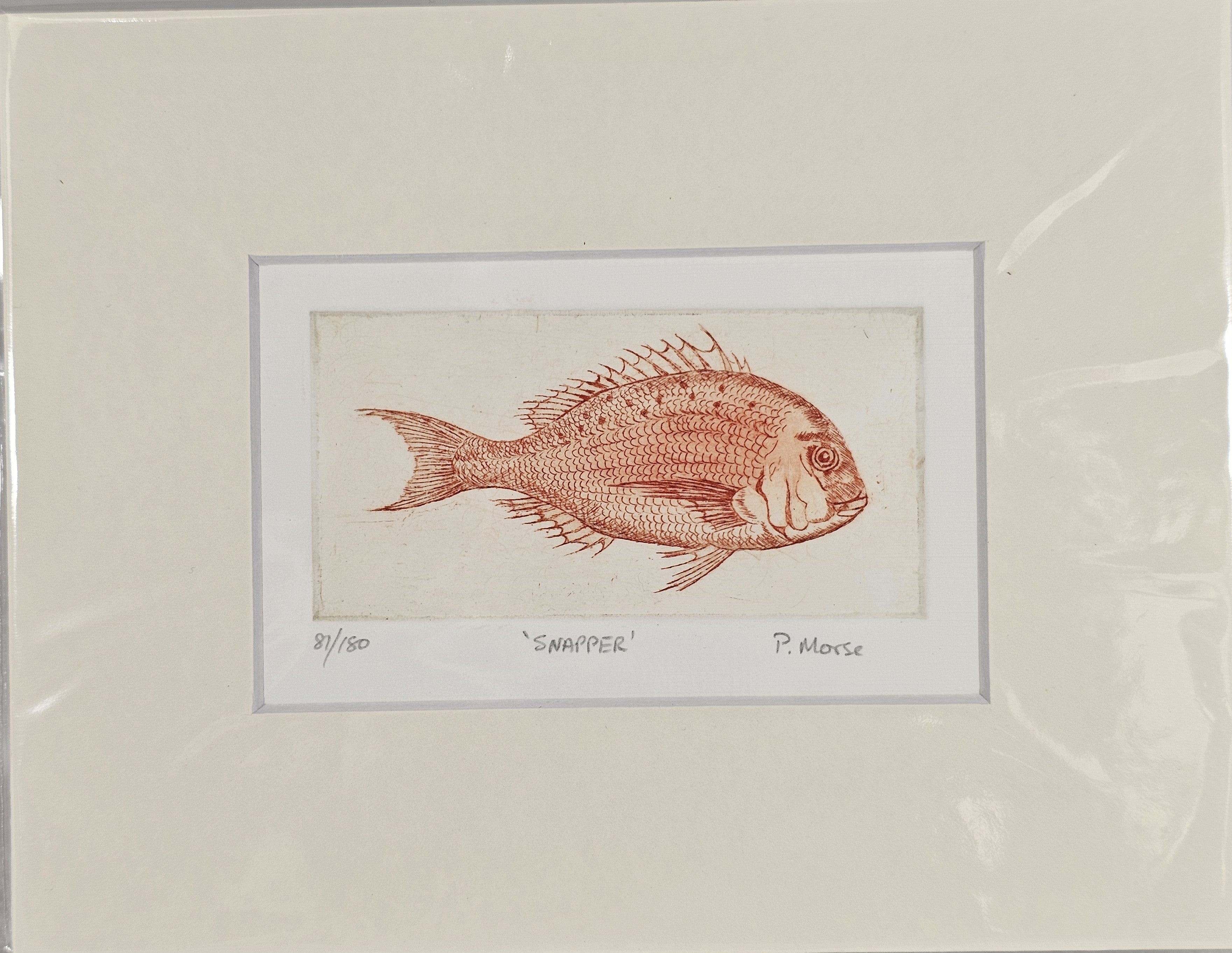 Limited Edition Etching Prints - Bugs and Fish