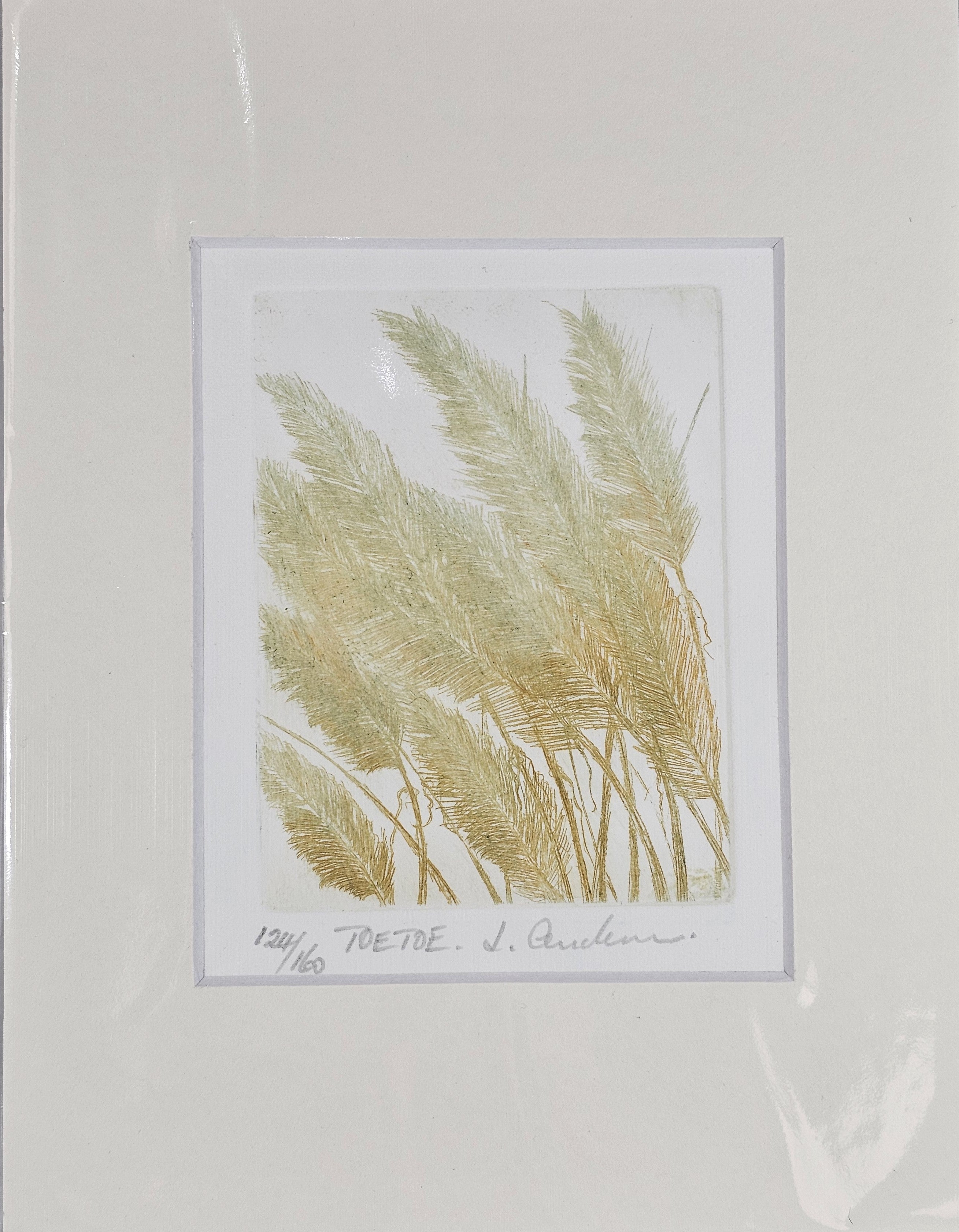 Limited Edition Etching Prints - Flora
