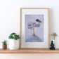 Miromiro (Tomtit) - Paper Print