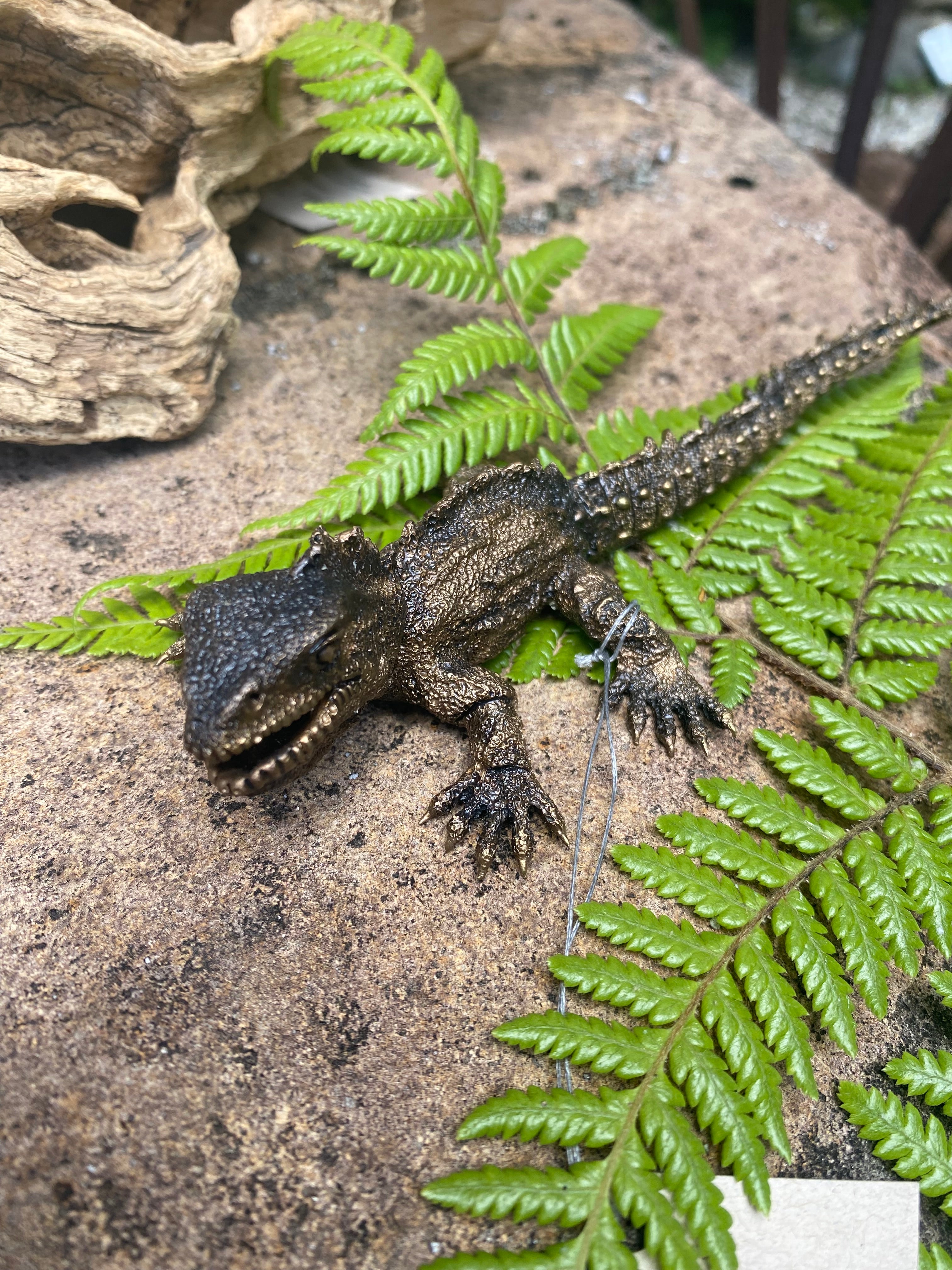 Tuatara Open Jaw