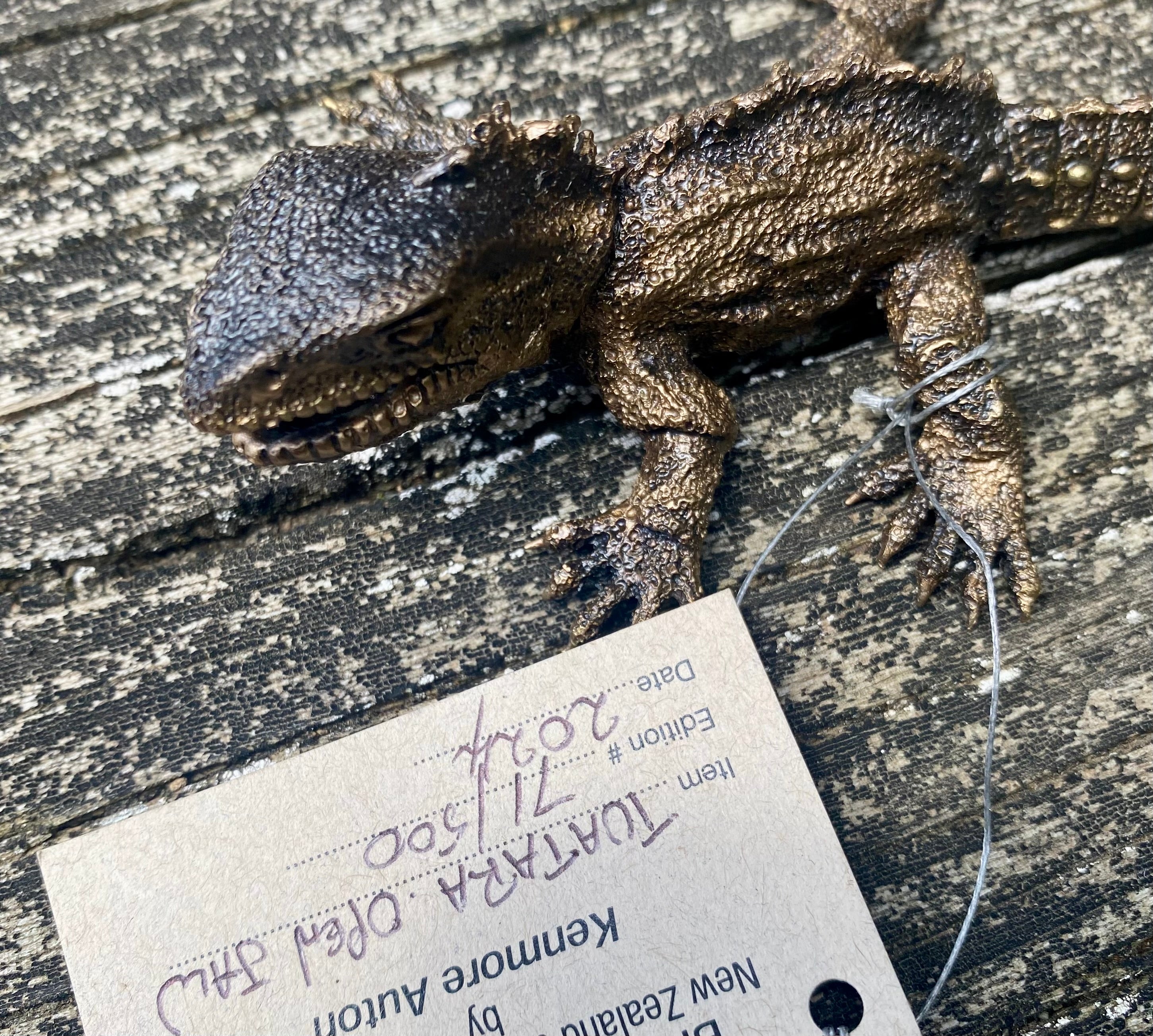 Tuatara Open Jaw