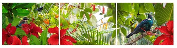 Lucy G Tiles from $19