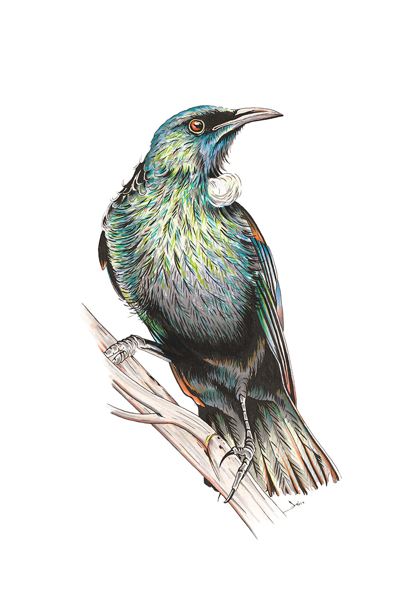 Tui on Branch
