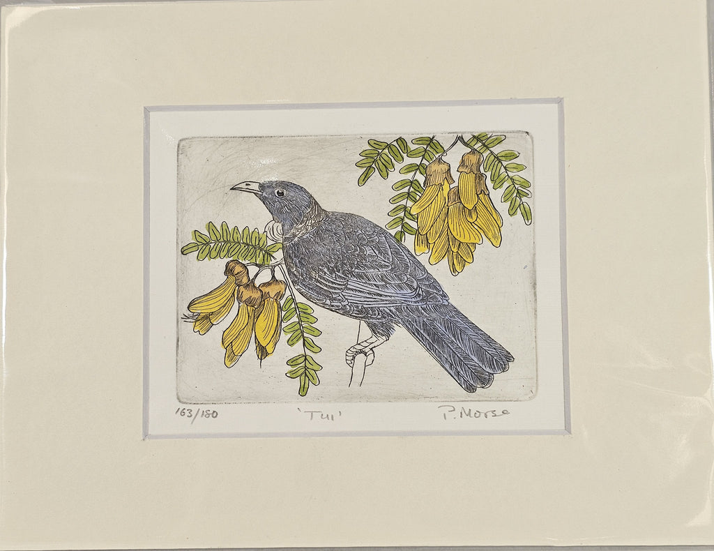 Limited Edition Etching Prints - Birds