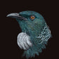 Tui - Print