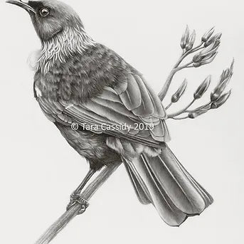 Tui