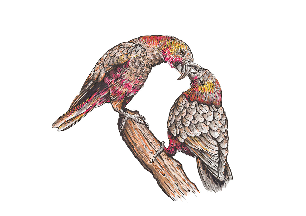 Two Kaka