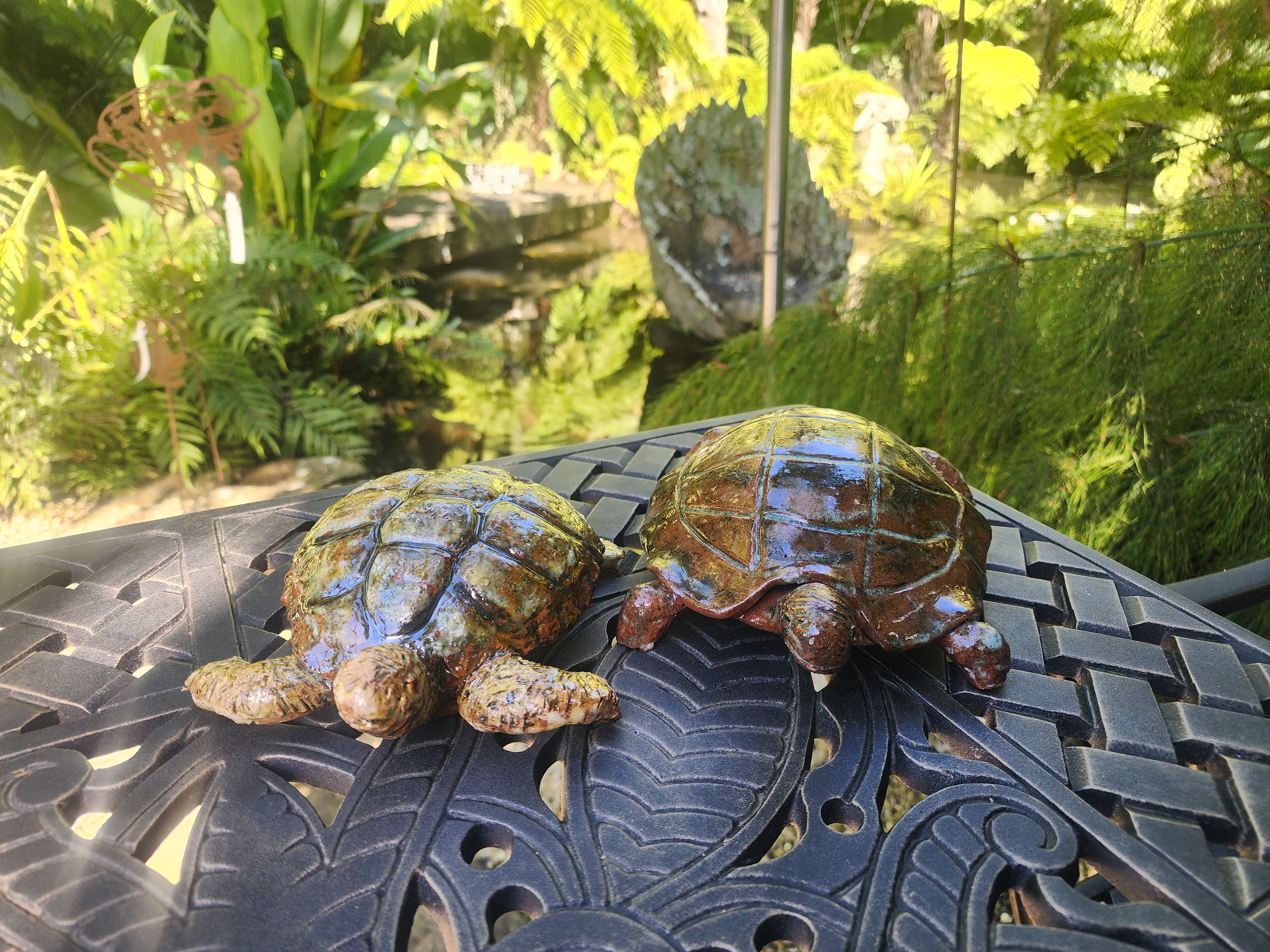 Large Tortoise