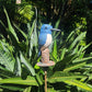 Kingfisher on Pole
