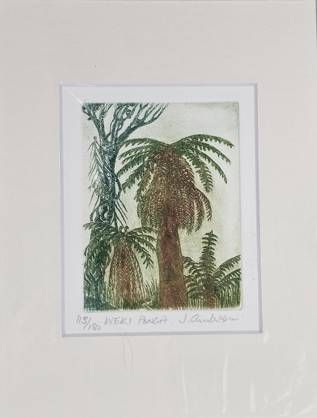 Limited Edition Etching Prints - Flora
