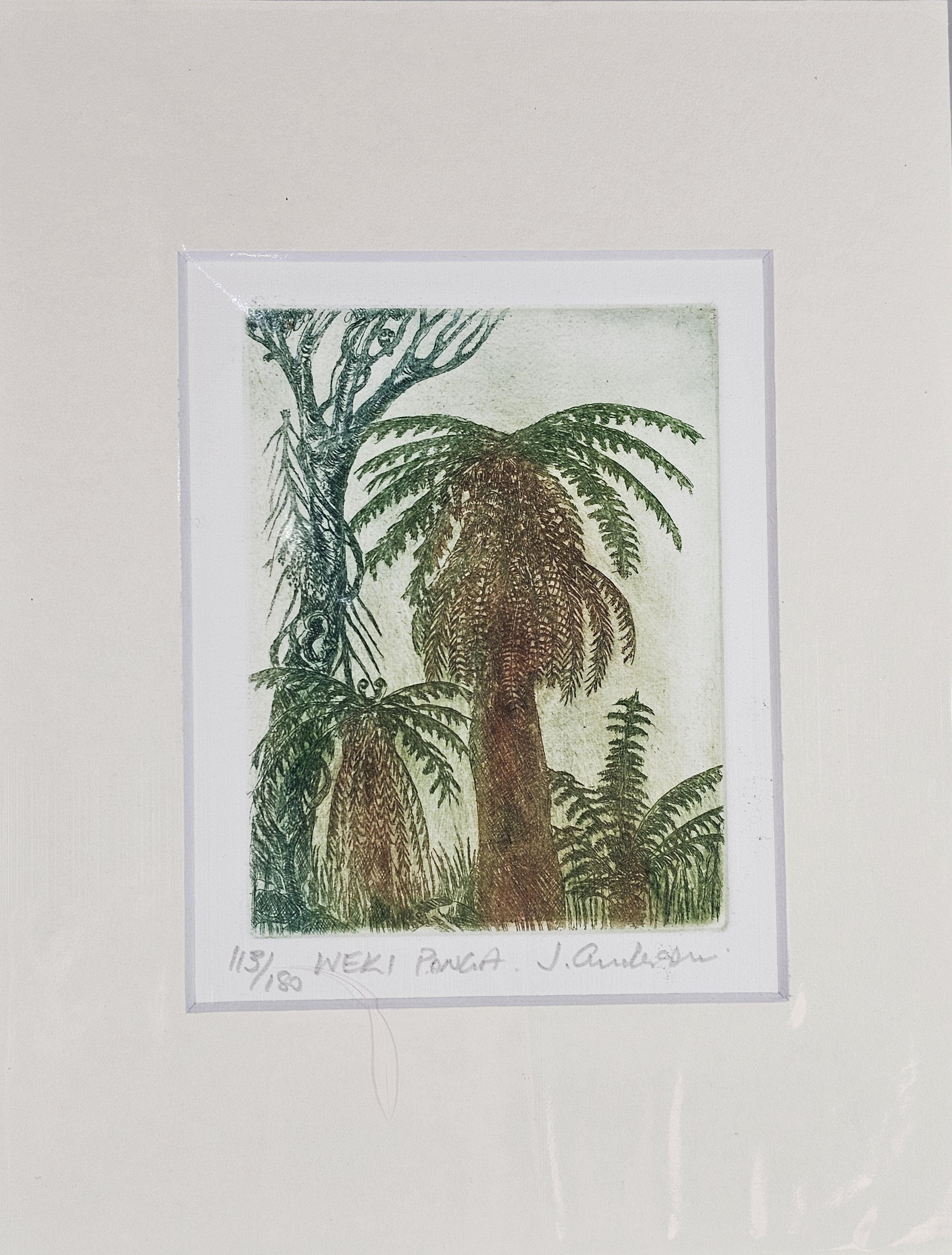 Limited Edition Etching Prints - Flora