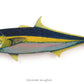 Yellow Tail King Fish Art from $275