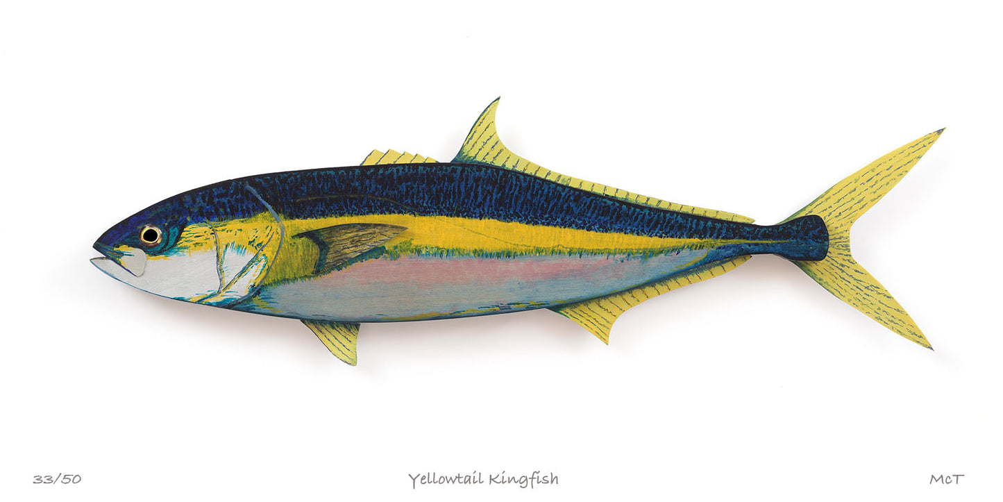 Yellow Tail King Fish Art from $275