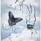 Blue Butterfly - Limited Edition Paper Print