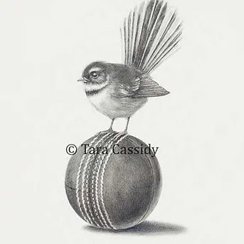 Cricket Fan