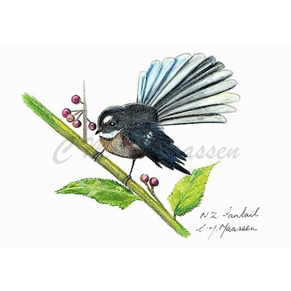 Fantail - Unframed A3 Print