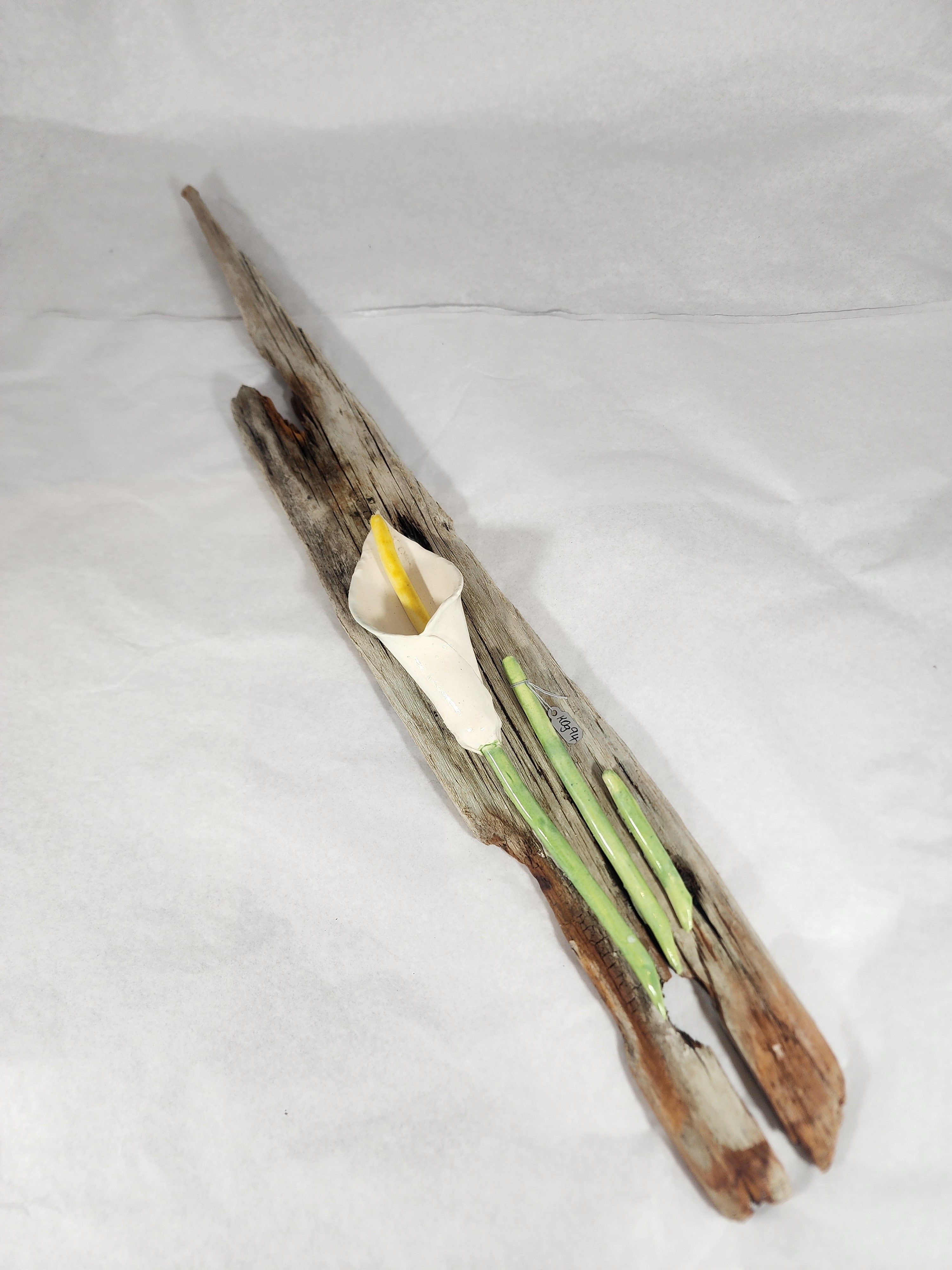 Lily on Driftwood
