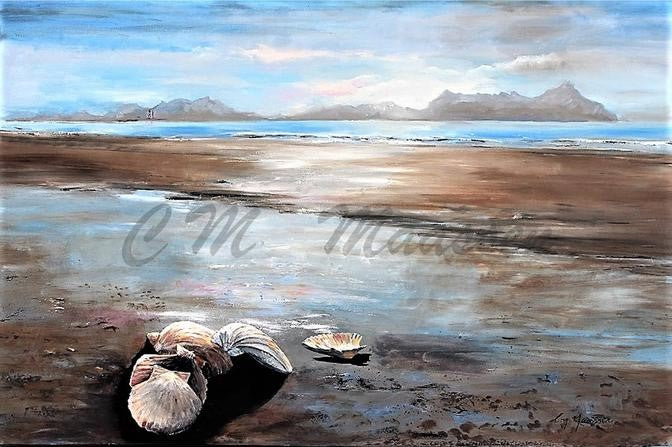 Shells Gathered Together - Unframed A3 Print