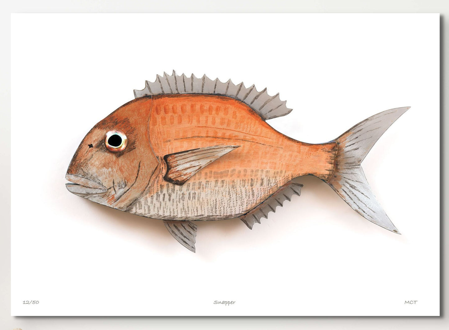 Snapper Art from $135 – Gallery Helena Bay