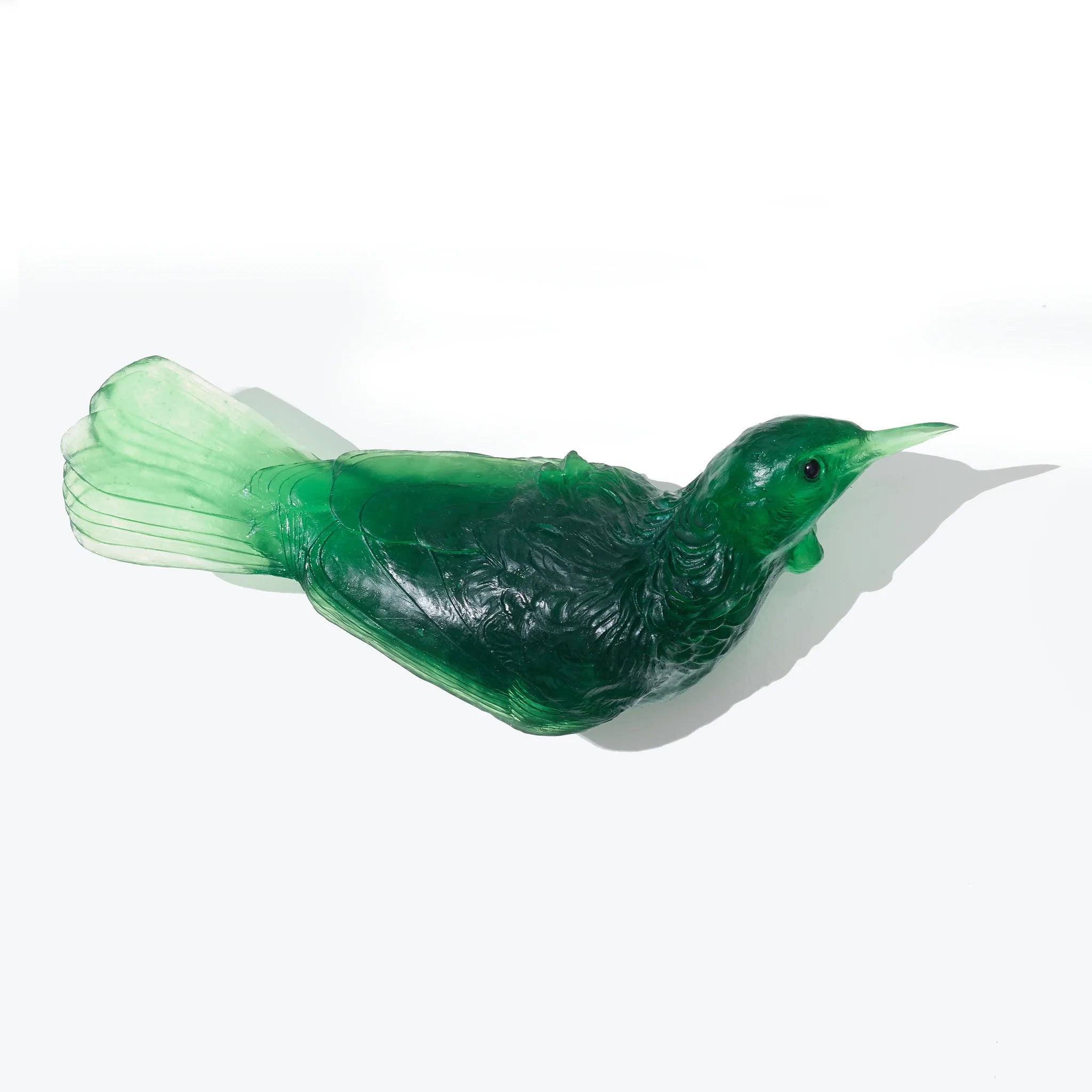 Tui