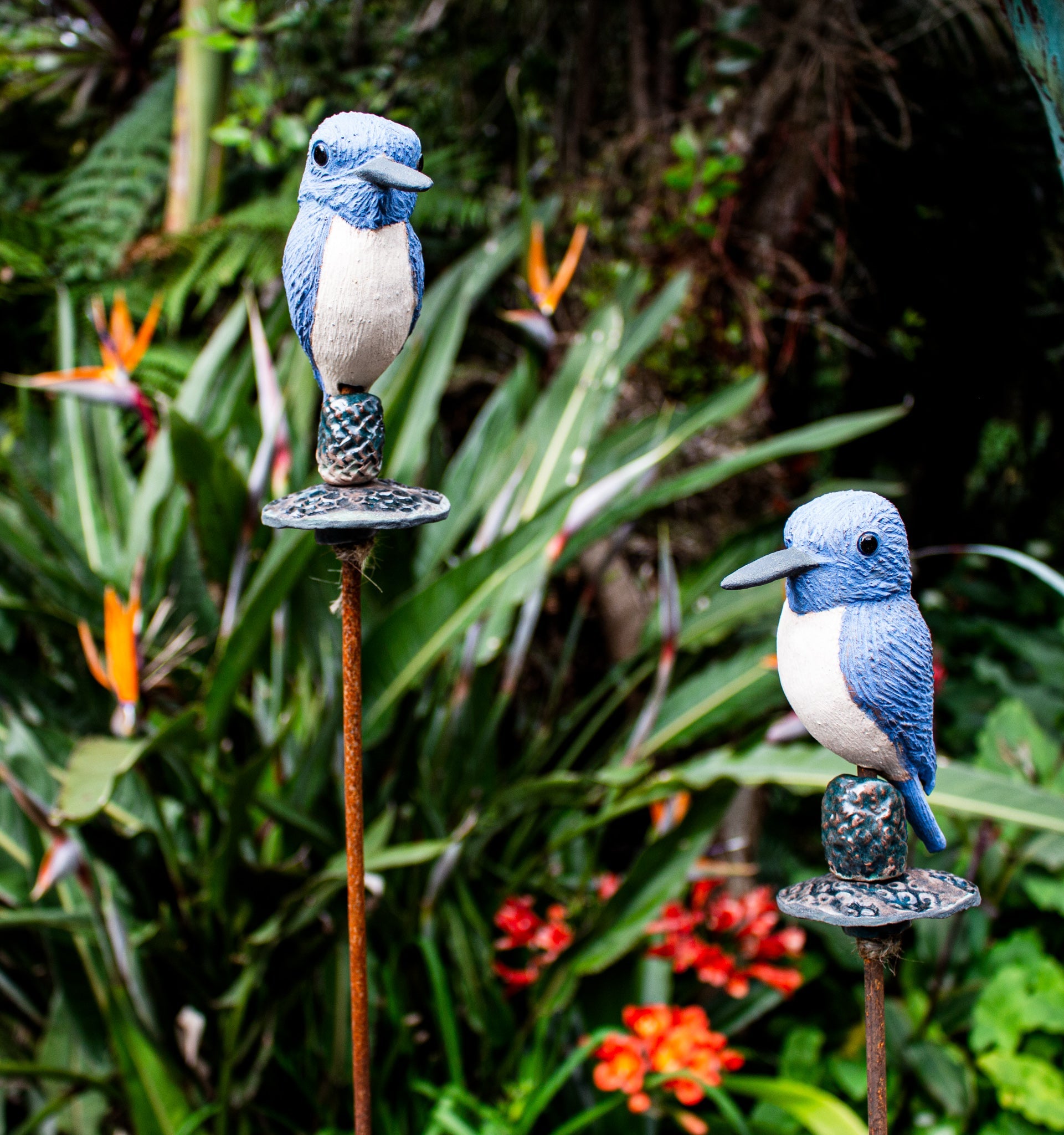 Kingfisher on Pole