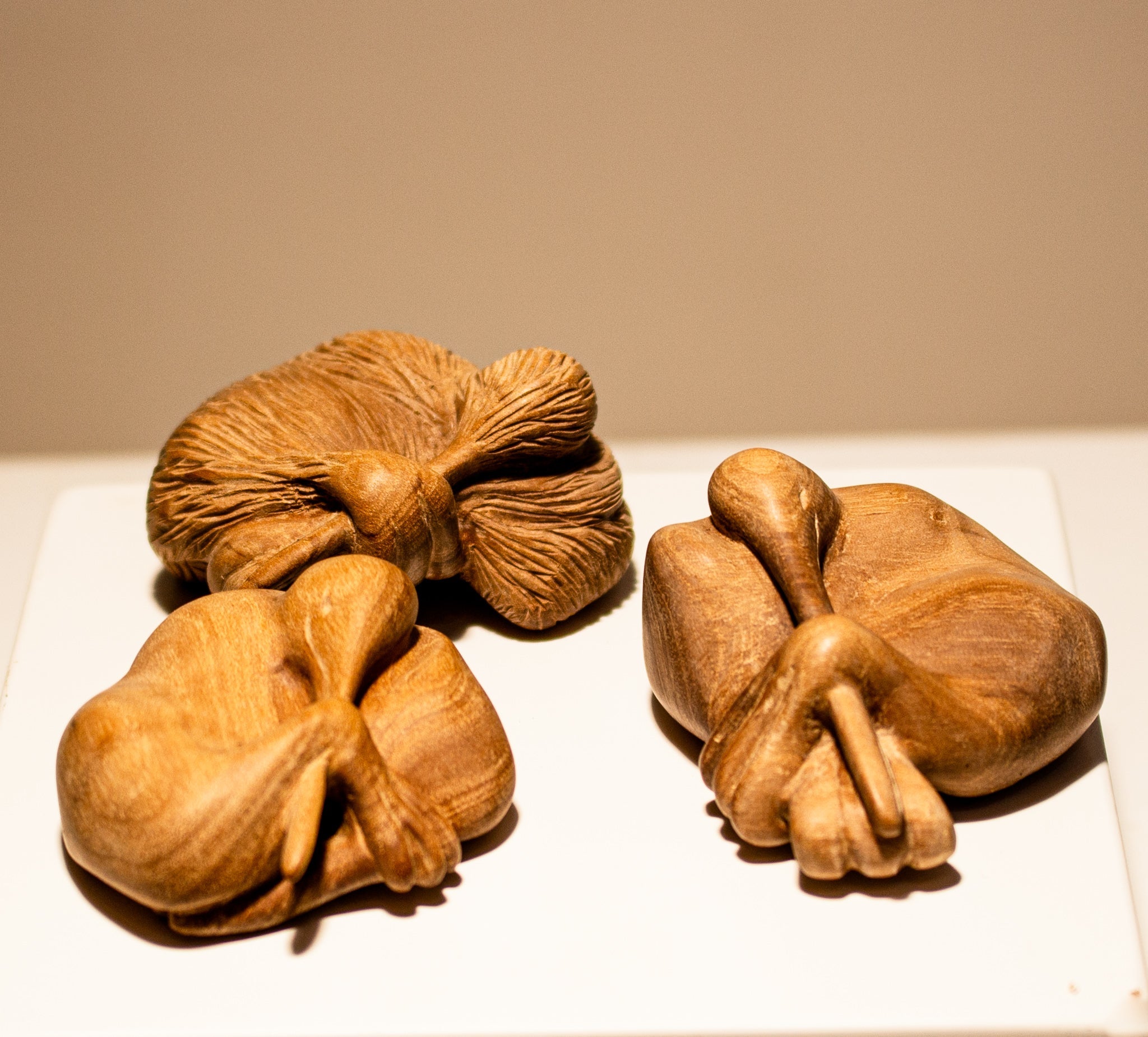 Pocket Kiwis