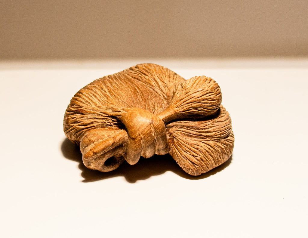 Pocket Kiwis