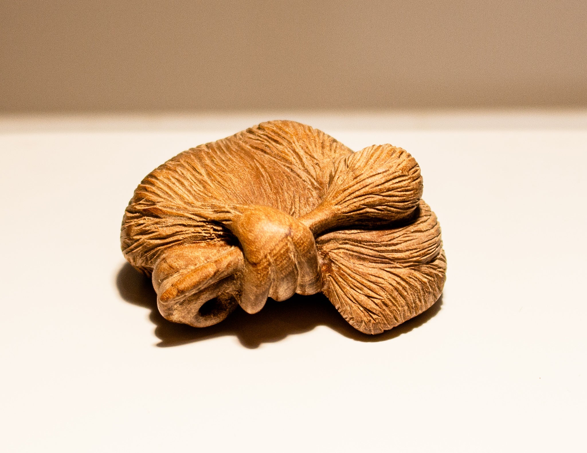 Pocket Kiwis